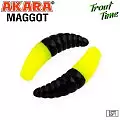 Силиконовая приманка Akara Trout Time MAGGOT 1,6 Cheese 419 (10 шт.)