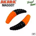Силиконовая приманка Akara Trout Time MAGGOT 1,6 Cheese 99T (10 шт.)