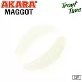 Силиконовая приманка Akara Trout Time MAGGOT 1,3 Cheese 12 (12 шт,)