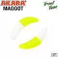 Силиконовая приманка Akara Trout Time MAGGOT 1,6 Cheese 16R (10 шт.)