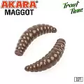 Силиконовая приманка Akara Trout Time MAGGOT 1,3 Cheese 458 (12 шт.)